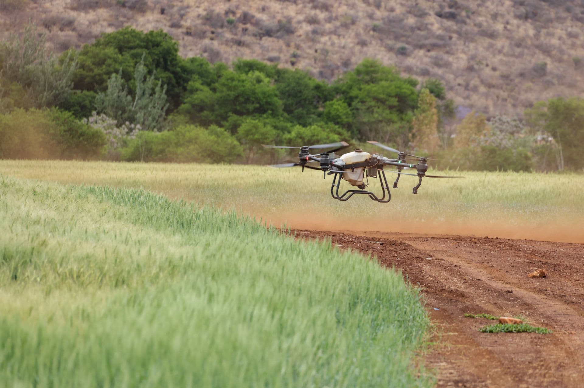 Drone above a green field