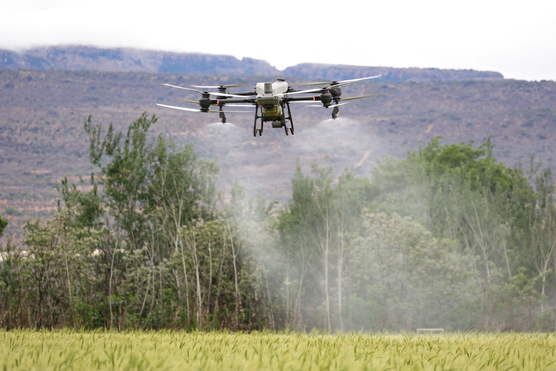 A spray drone over a crop