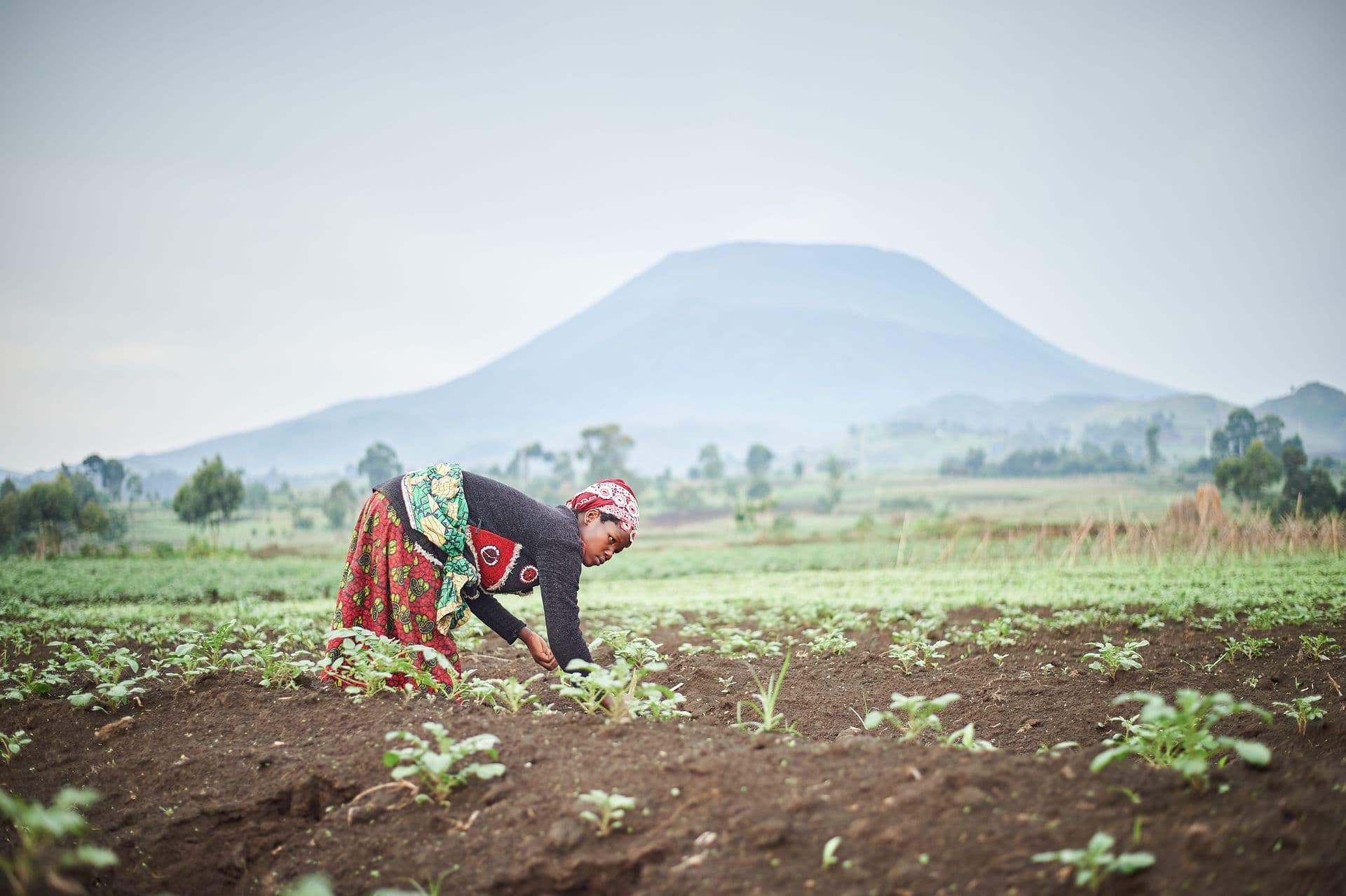 Woman working in a fertile green field with a mountain on the horizon